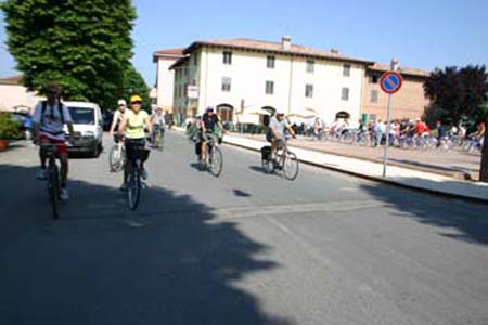 IMG_6812