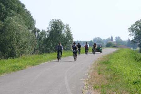 IMG_6880