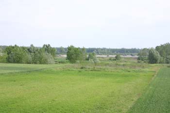 IMG_2285
