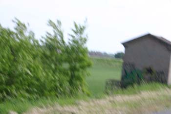IMG_2289