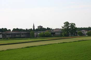 IMG_2294