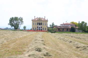 IMG_2419