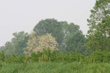 IMG_6396